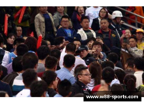 球迷对球员进行辱骂，引发舆论关注